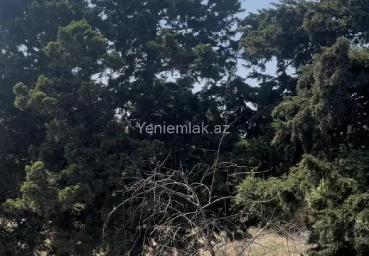25 sot Torpaq Satılır, Mərdəkan, Xəzər, Bakı