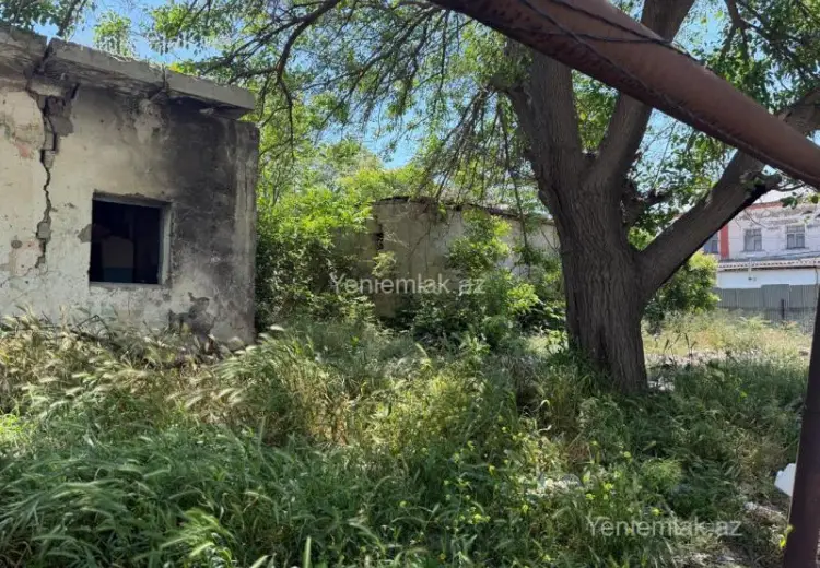 16 sot Torpaq Satılır, Qaraçuxur qəs., Suraxanı, Bakı