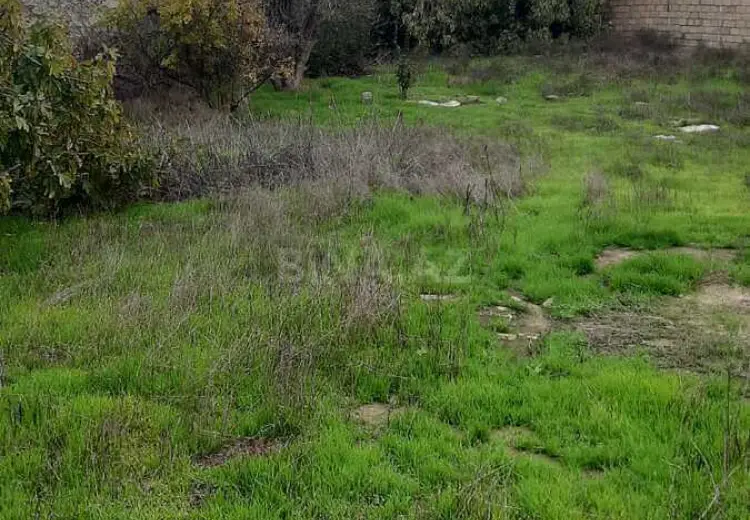 5 sot Torpaq Satılır, Digah, Abşeron