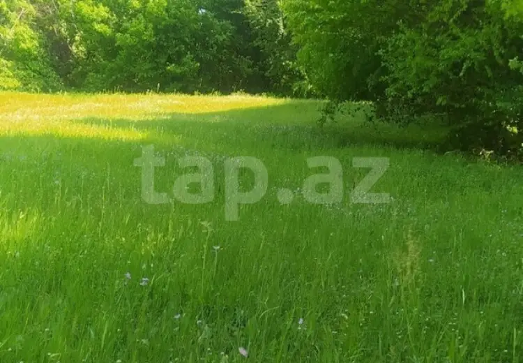 0 m² Obyekt / Ofis , Quba