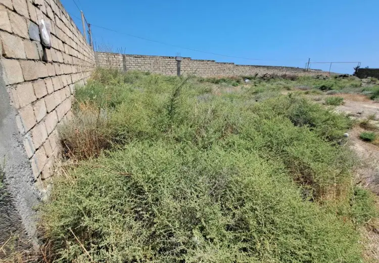 13 sot Torpaq Satılır, Badamdar qəs., Səbail, Bakı