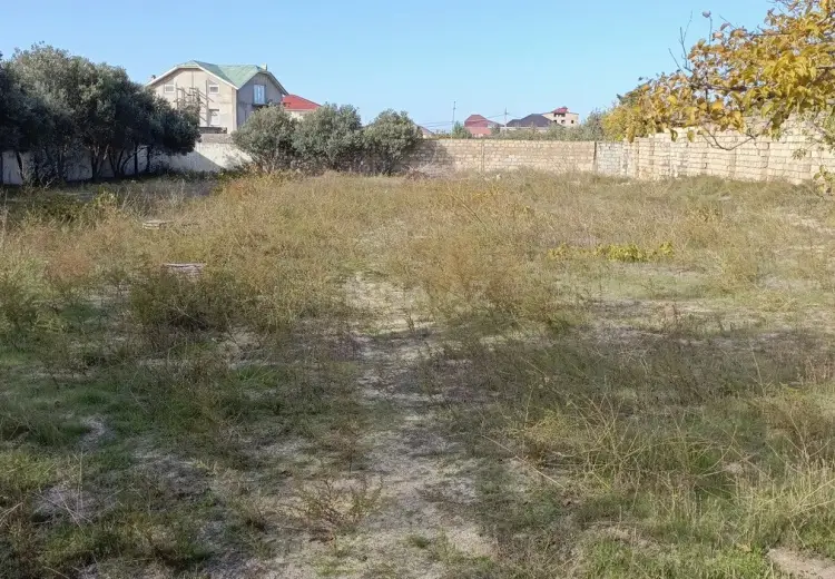 24.5 sot Torpaq Satılır, Novxanı, Abşeron