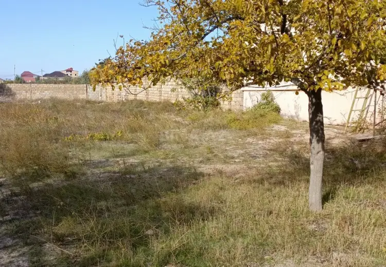 24.5 sot Torpaq Satılır, Novxanı, Abşeron
