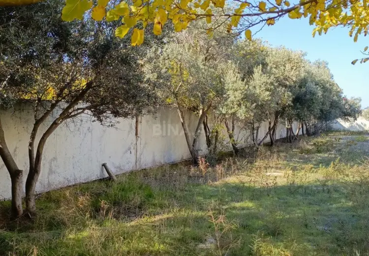 24.5 sot Torpaq Satılır, Novxanı, Abşeron