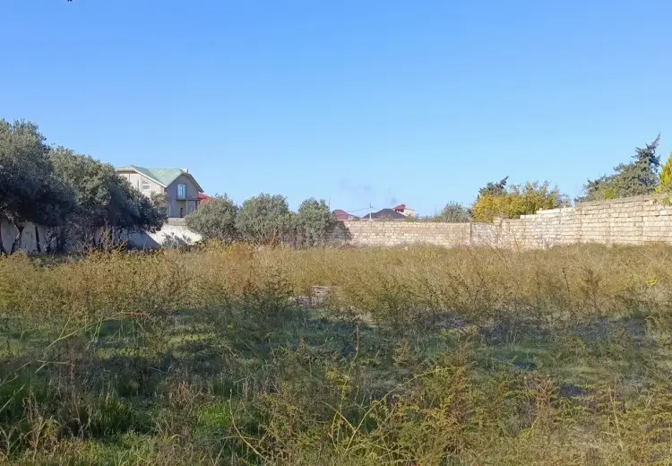 24.5 sot Torpaq Satılır, Novxanı, Abşeron