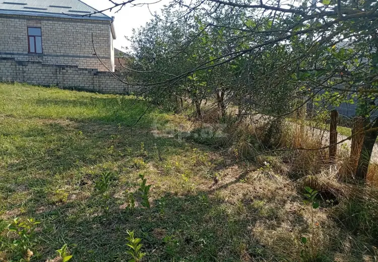 0 m² Obyekt / Ofis , Qusar