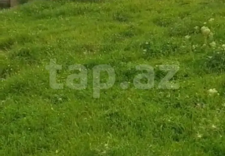 0 m² Obyekt / Ofis , Şamaxı