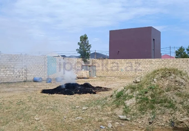 7 sot Torpaq Satılır, Novxanı, Abşeron