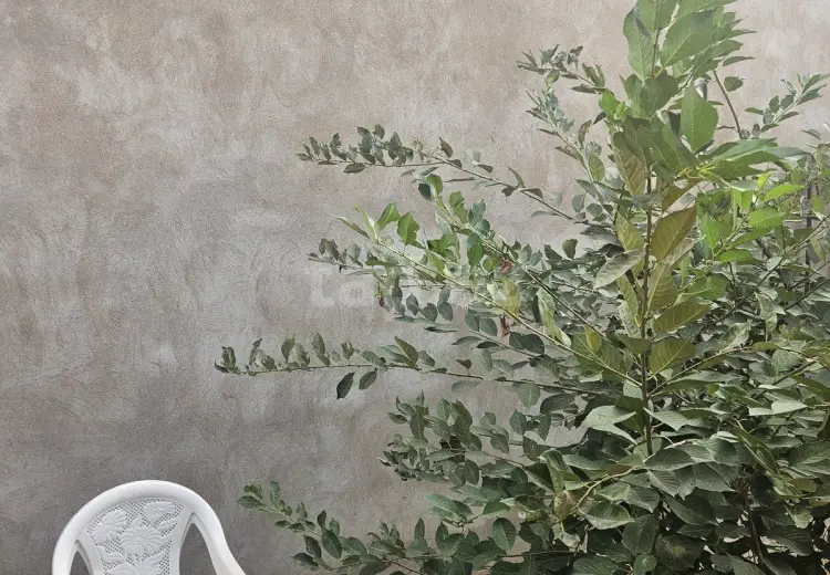 2 otaqlı mənzil , Masazır, Abşeron