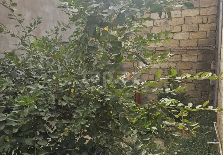 2 otaqlı mənzil , Masazır, Abşeron