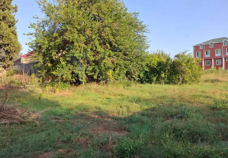 25 sot Torpaq Satılır, Novxanı, Abşeron