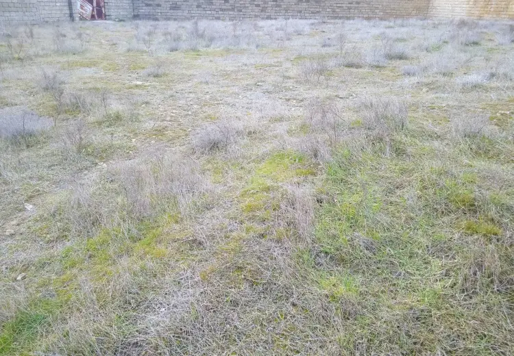 5 sot Torpaq Satılır, Badamdar qəs., Səbail, Bakı