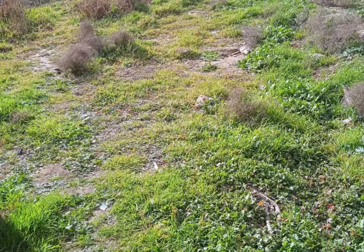 4.5 sot Torpaq Satılır, Badamdar qəs., Səbail, Bakı