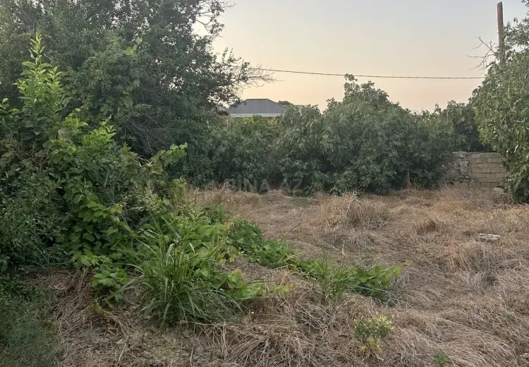 5 sot Torpaq Satılır, Digah, Abşeron