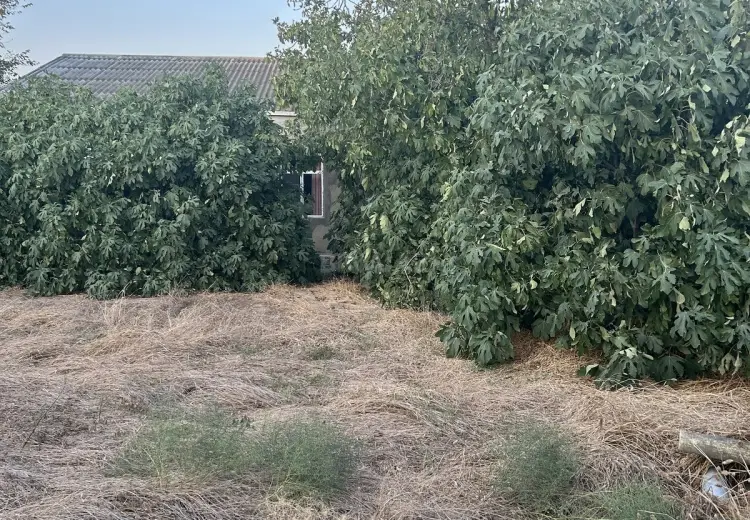 5 sot Torpaq Satılır, Digah, Abşeron
