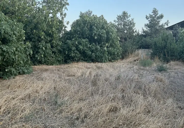5 sot Torpaq Satılır, Digah, Abşeron