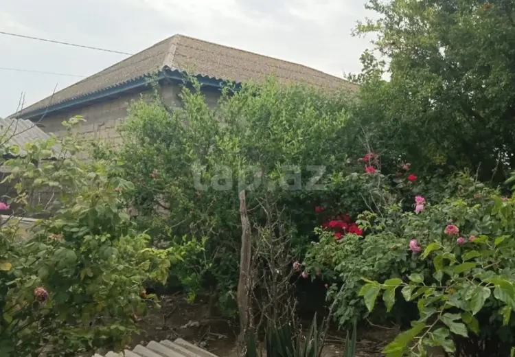 0 m² Obyekt / Ofis , Neftçala