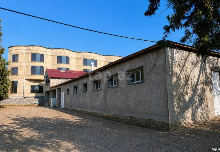 0 m² Obyekt / Ofis , Qəbələ