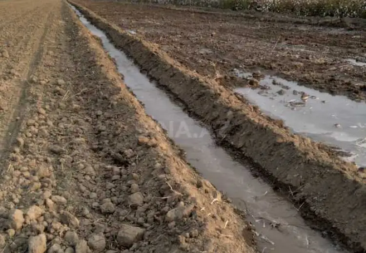 700 sot Torpaq Satılır, Ağcabədi