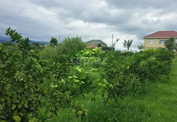 10 otaqlı mənzil , Astara