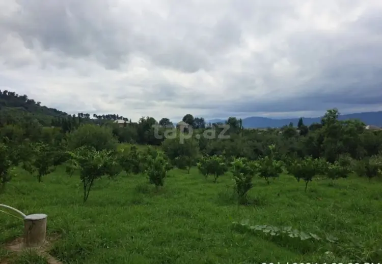 10 otaqlı mənzil , Astara