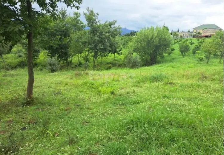 10 otaqlı mənzil , Astara
