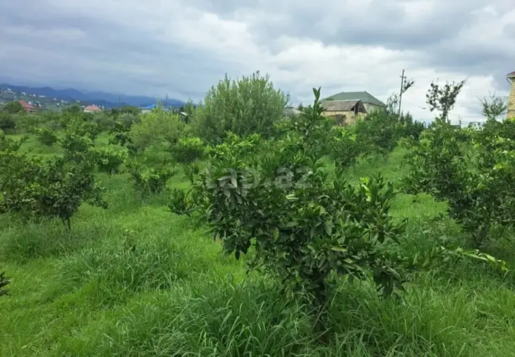 10 otaqlı mənzil , Astara