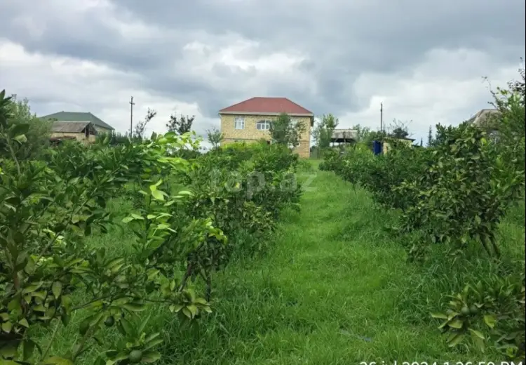 10 otaqlı mənzil , Astara