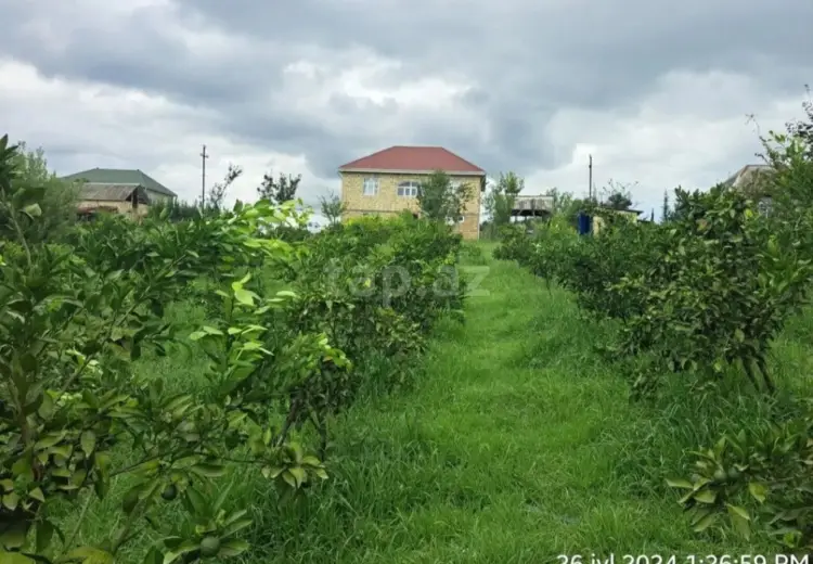 10 otaqlı mənzil , Astara