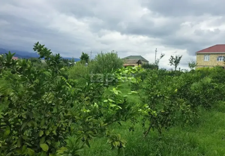 10 otaqlı mənzil , Astara