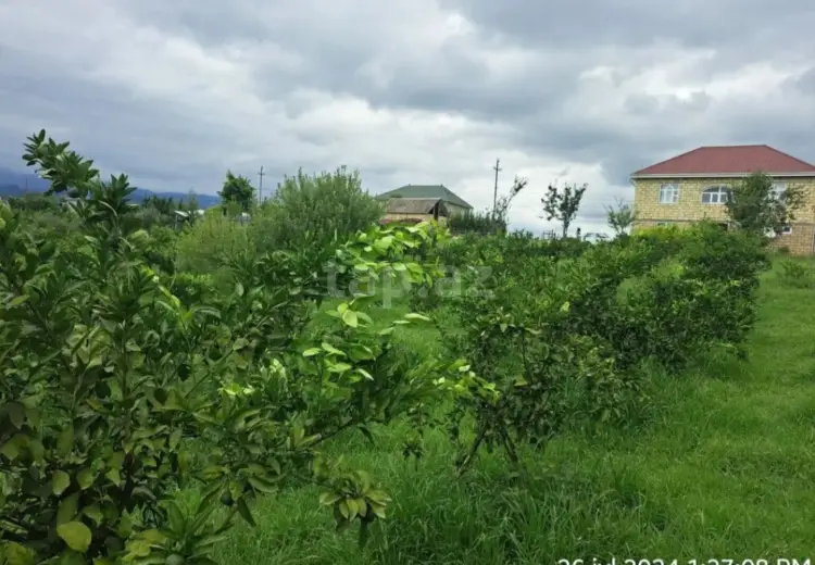 10 otaqlı mənzil , Astara