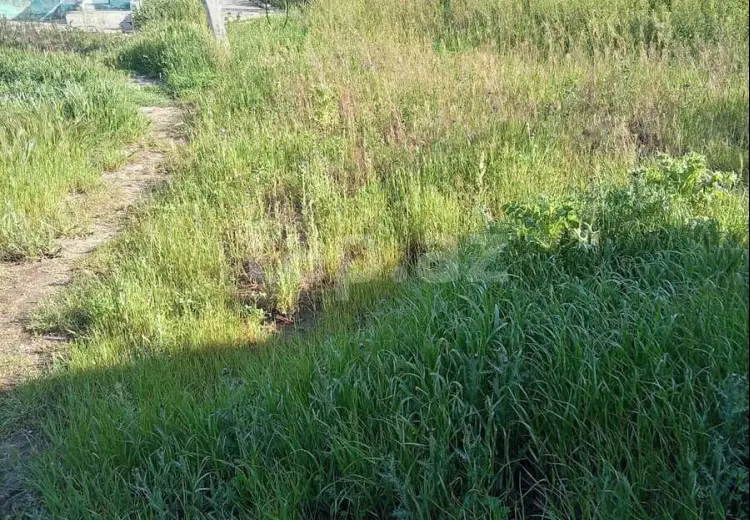 0 m² Obyekt / Ofis , Nardaran qəs., Sabunçu, Bakı