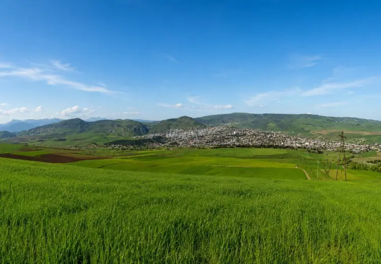 3600 sot Torpaq Satılır, Şamaxı