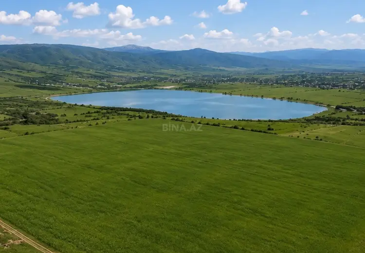 3600 sot Torpaq Satılır, Şamaxı