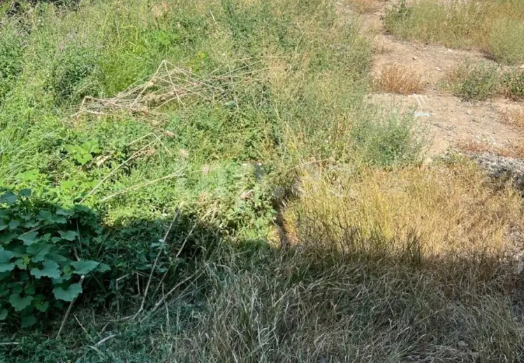 3 otaqlı mənzil , Gəncə