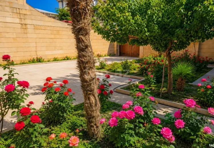 6 otaqlı mənzil , Bakı