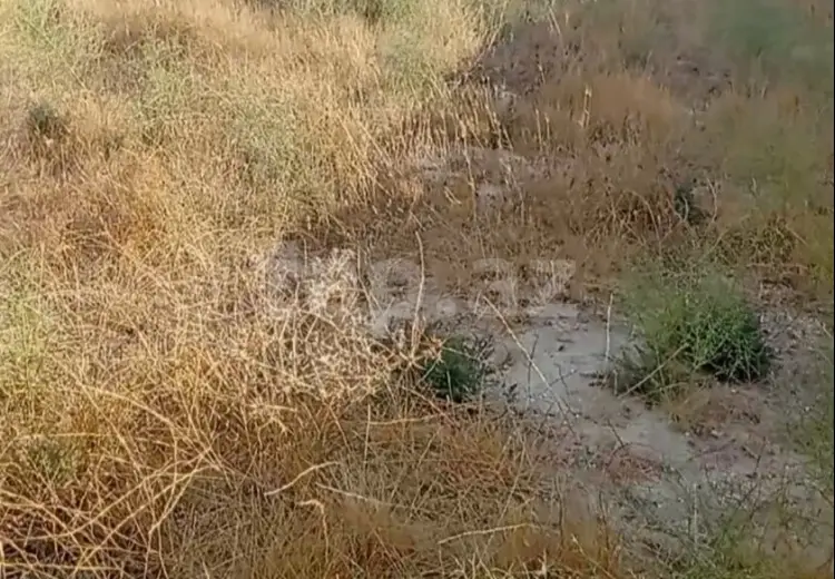0 m² Obyekt / Ofis , Hövsan qəs., Suraxanı, Bakı