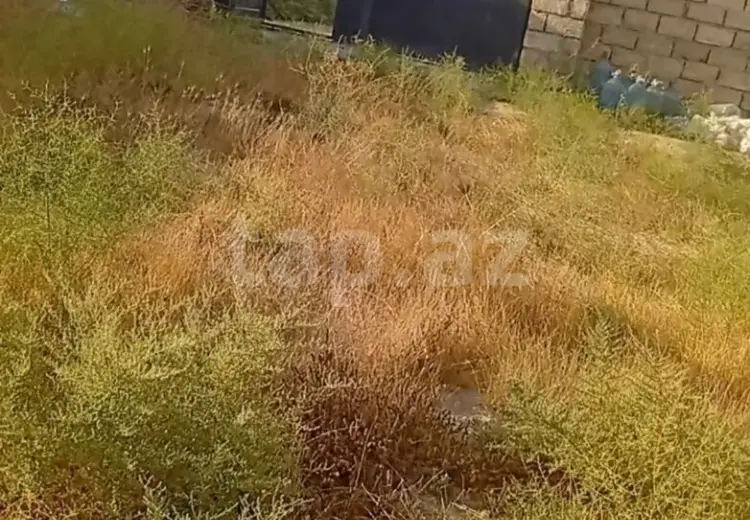 0 m² Obyekt / Ofis , Hövsan qəs., Suraxanı, Bakı
