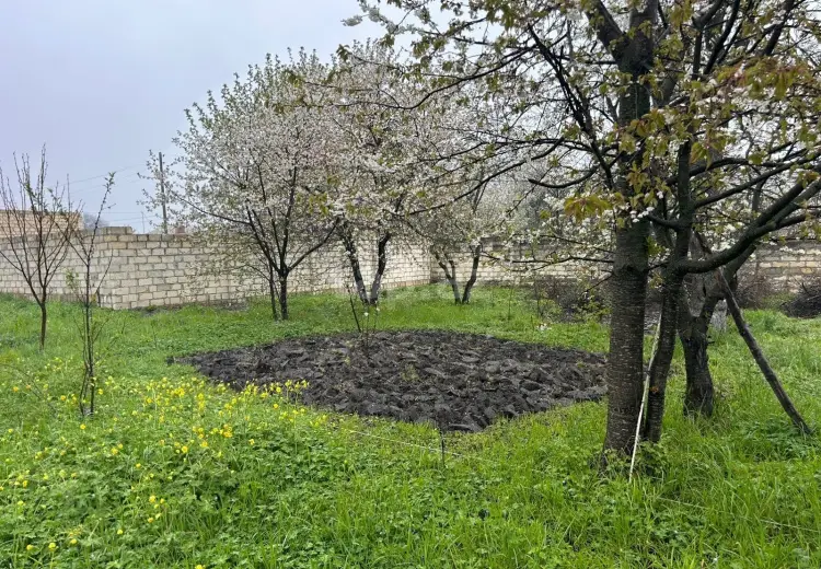 0 m² Obyekt / Ofis , Quba