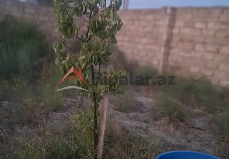 3 otaqlı mənzil Satılır, Bakı