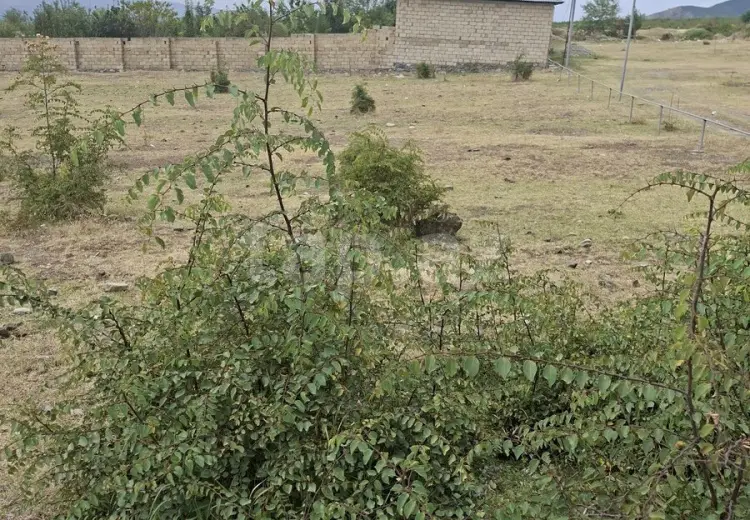 0 m² Obyekt / Ofis , Şəki