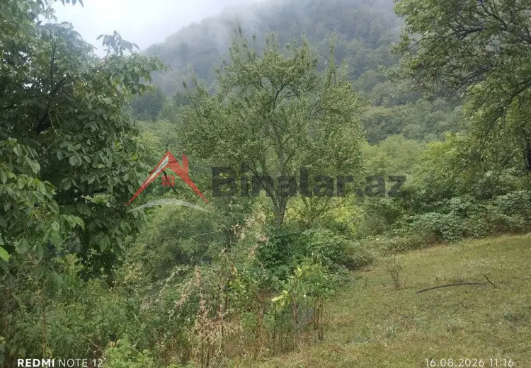 13 sot Torpaq Satılır, Quba