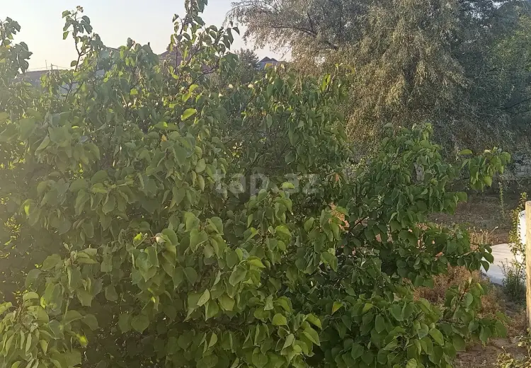 7 otaqlı mənzil , Bakı