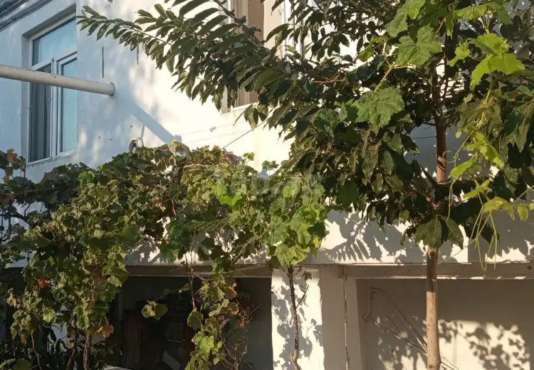 7 otaqlı mənzil , Bakı