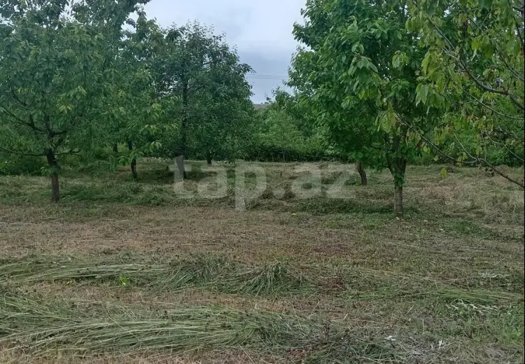 0 m² Obyekt / Ofis , Quba