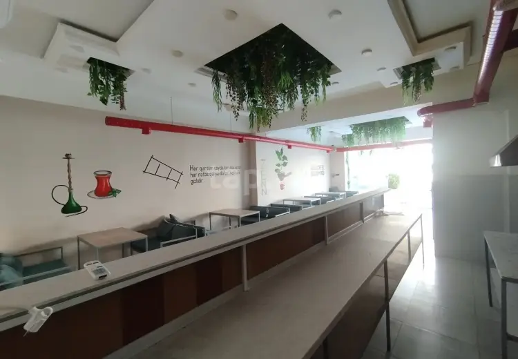 0 m² Obyekt / Ofis , Bakı