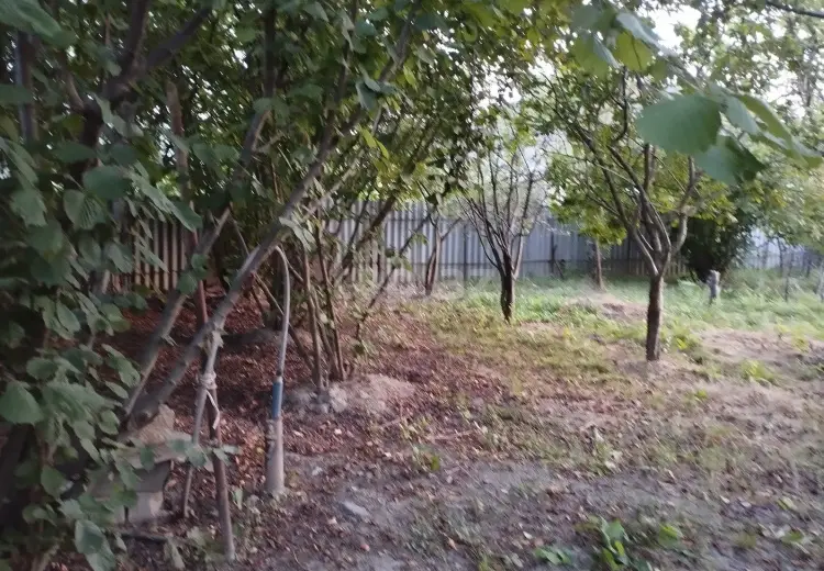 0 m² Obyekt / Ofis , Şəki