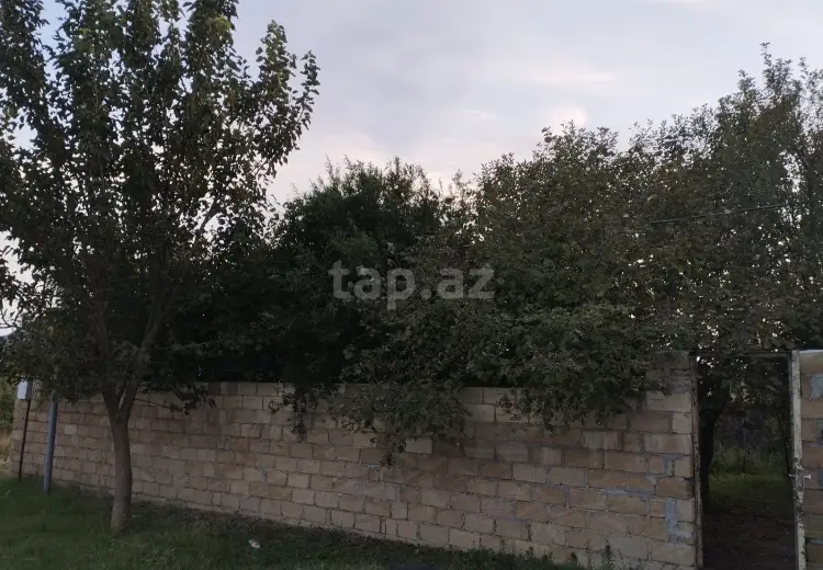 0 m² Obyekt / Ofis , Şəki