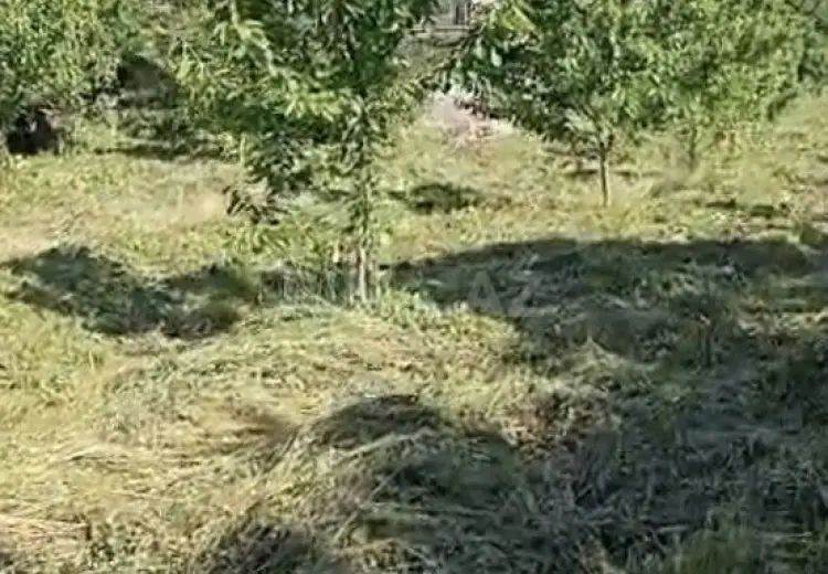 70 sot Torpaq Satılır, Quba
