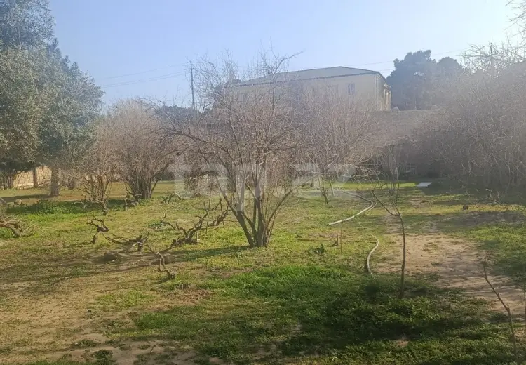 0 m² Obyekt / Ofis , Bilgəh qəs., Sabunçu, Bakı